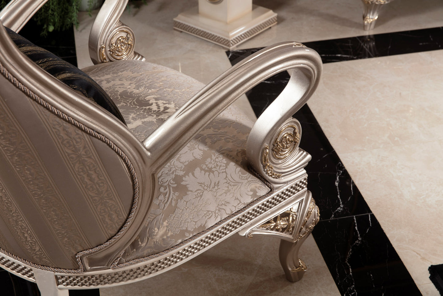 Elegant Sofa Set